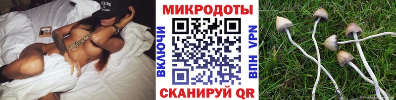 закладки  Химки  Галлюциногенные грибы мицелий 
